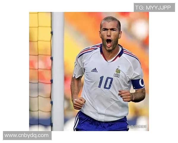 聚焦世界杯足球巨星们的传奇征程与荣誉时刻分析